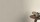 RS_540826.jpg