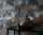 orphee-008.webp