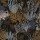 CASAMANCE_74700406.jpg