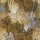 CASAMANCE_74700304.jpg