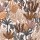 CASAMANCE_74700202.jpg