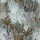 CASAMANCE_74700100.jpg