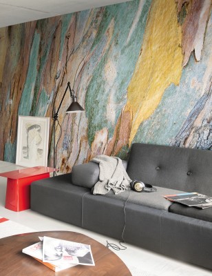 101096_DanielGeier_Holz-bunt.jpg