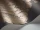 Baudelaire_Image_WaveImage_Item_94-1002.webp