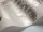 Baudelaire_Image_WaveImage_Item_94-1004.webp