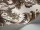 Wyndham_Image_WaveImage_Item_94-3014.webp