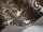 Blake_Image_WaveImage_Item_94-6033.webp