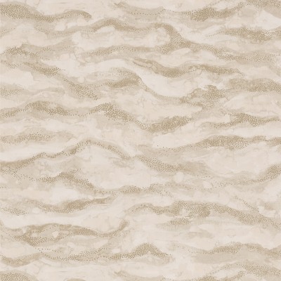 CASAMANCE_75401630 (1).jpg