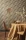 nuitdorient-75390916.webp