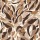 CASAMANCE_75553568.jpg