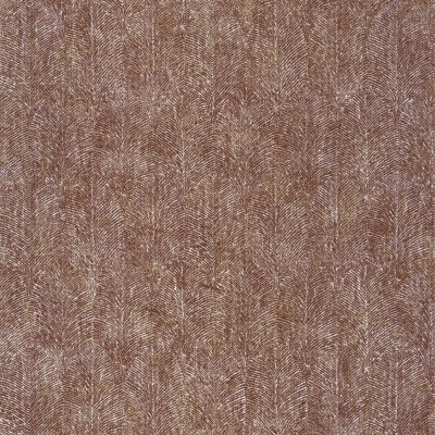 CASAMANCE_75261630.jpg