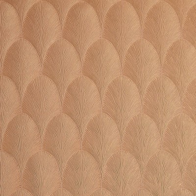 CASAMANCE_75781630.jpg