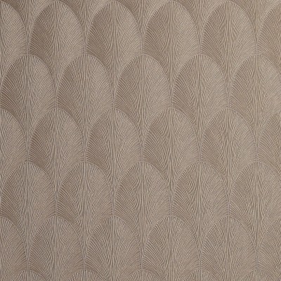 CASAMANCE_75781528.jpg