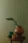 manille-11.webp