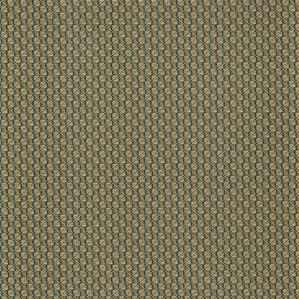 CASAMANCE_74670558.jpg