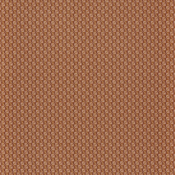 CASAMANCE_74670456.jpg