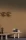 le-bois-74852752.webp