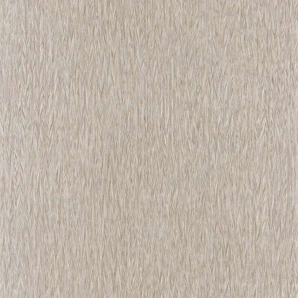 CASAMANCE_74100274.jpg