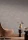 l-ile-aux-oiseaux-75891324.webp