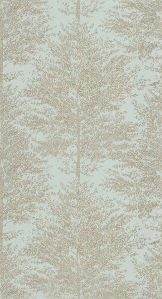 CASELIO_101807028 (1).jpg