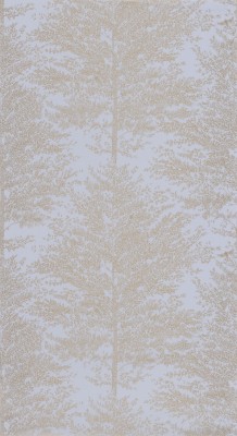 CASELIO_101806020 (1).jpg