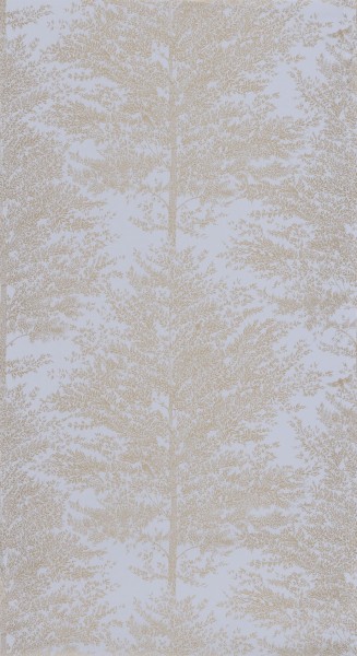 CASELIO_101806020 (1).jpg