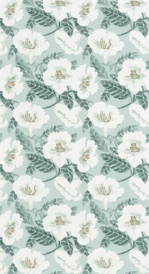 CASELIO_101797070 (1).jpg