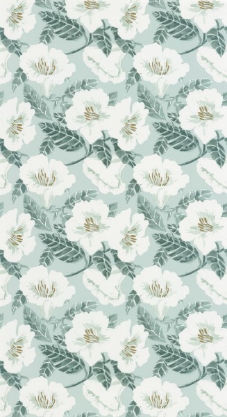 CASELIO_101797070 (1).jpg