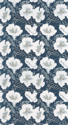 CASELIO_101796166 (1).jpg