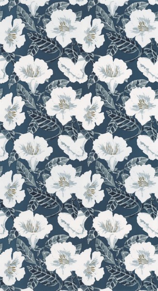 CASELIO_101796166 (1).jpg