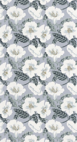 CASELIO_101796006 (1).jpg