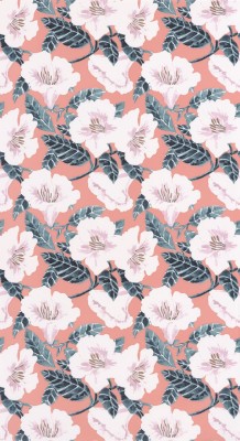 CASELIO_101794060 (1).jpg