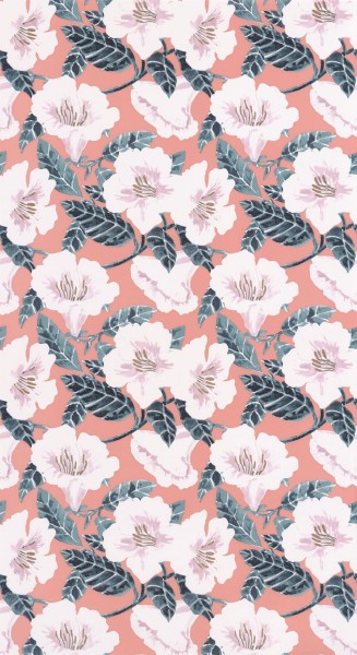 CASELIO_101794060 (1).jpg