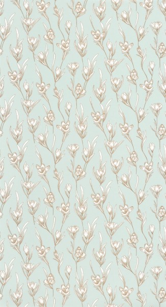 CASELIO_101787024 (1).jpg