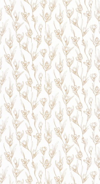 CASELIO_101781029 (1).jpg