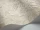 Coleridge_Image_WaveImage_Item_94-9048.webp