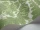 Coleridge_Image_WaveImage_Item_94-9050.webp