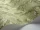 Florencecourt_Image_WaveImage_Item_100-1003.webp
