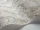 Florencecourt_Image_WaveImage_Item_100-1005.webp