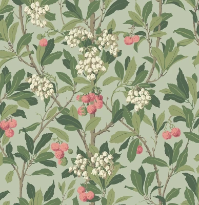 StrawberryTree_Image_Flatshot_Item_100-10048.webp