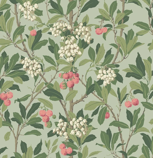 StrawberryTree_Image_Flatshot_Item_100-10048.webp