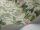 StrawberryTree_Image_WaveImage_Item_100-10048.webp
