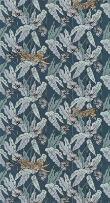 CASELIO_101776022 (1).jpg