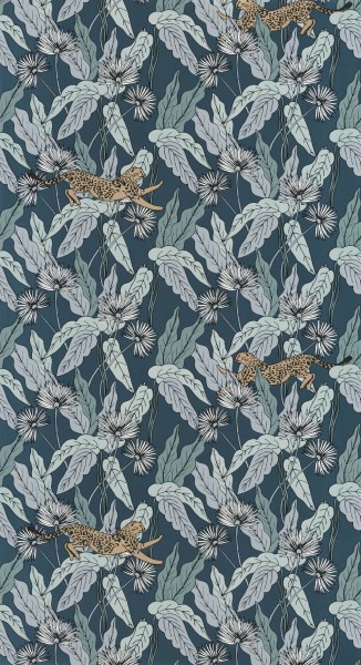 CASELIO_101776022 (1).jpg