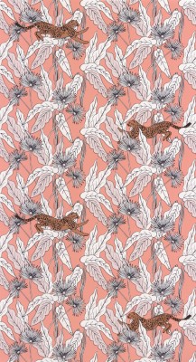 CASELIO_101774001 (1).jpg