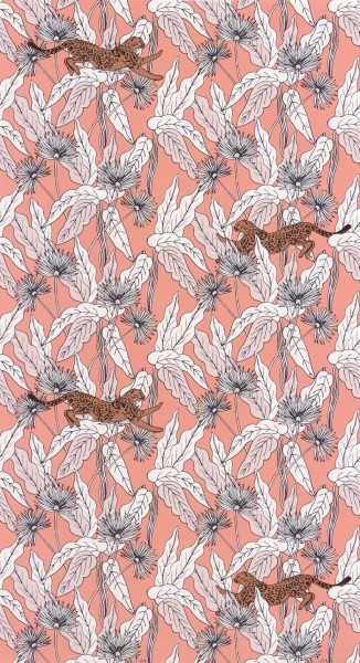 CASELIO_101774001 (1).jpg