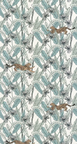 CASELIO_101770000 (1).jpg