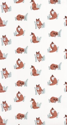 CASELIO_101764073 (1).jpg