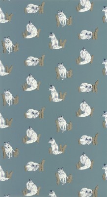 CASELIO_101760068 (1).jpg