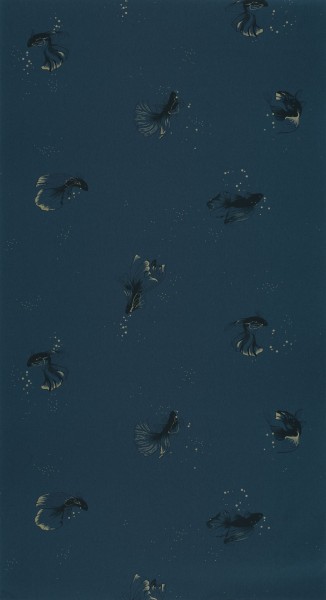 CASELIO_101756120 (1).jpg